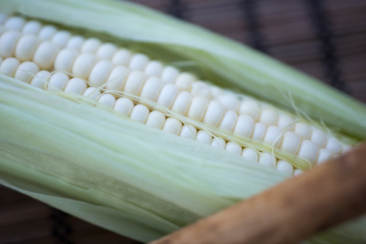 corn