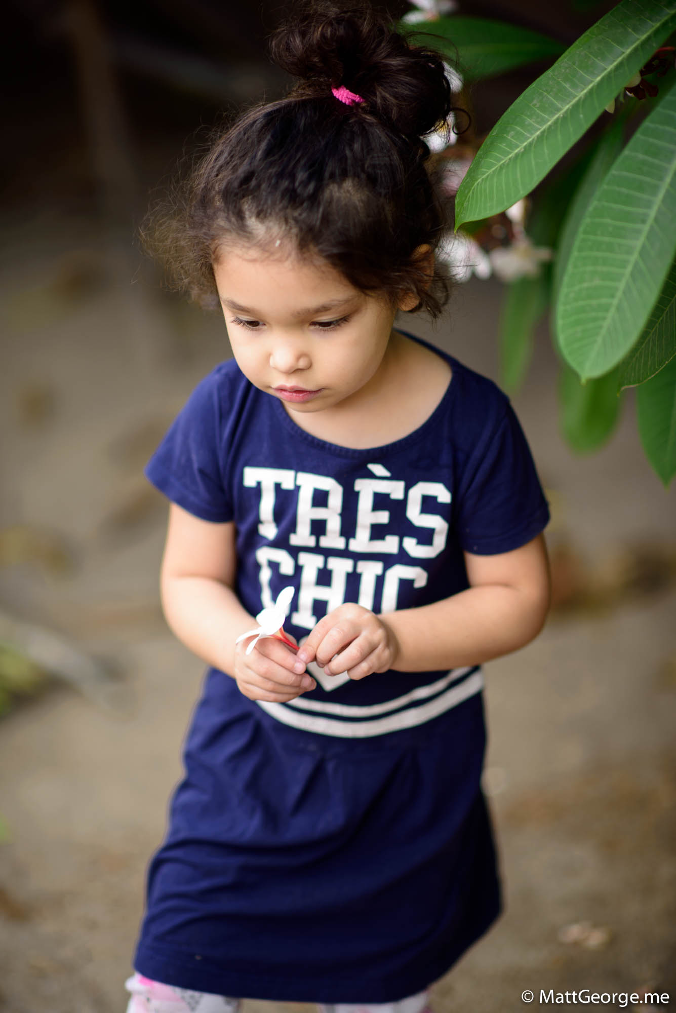 Bella and her white plumeria flower