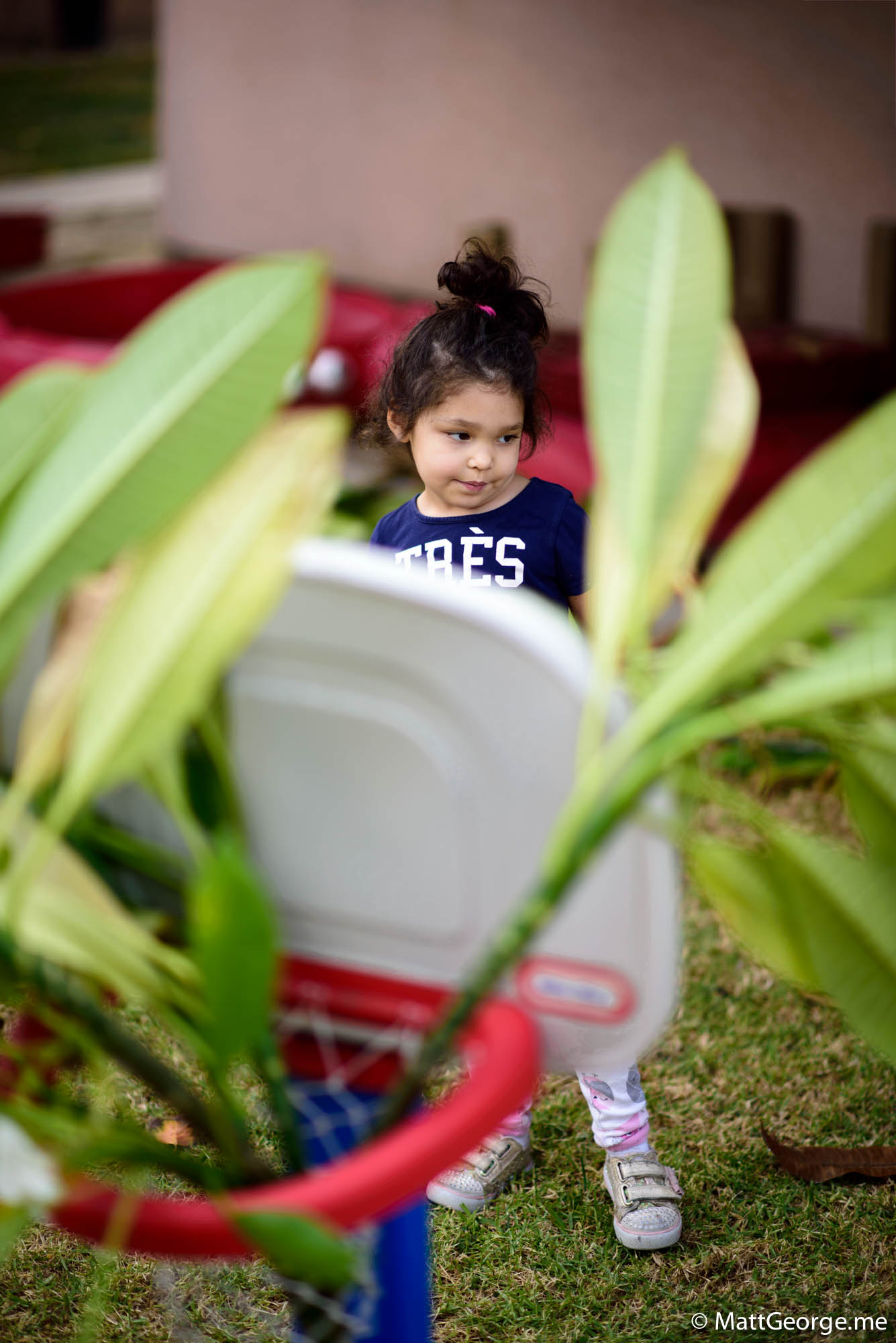 Bela hiding behind her tree