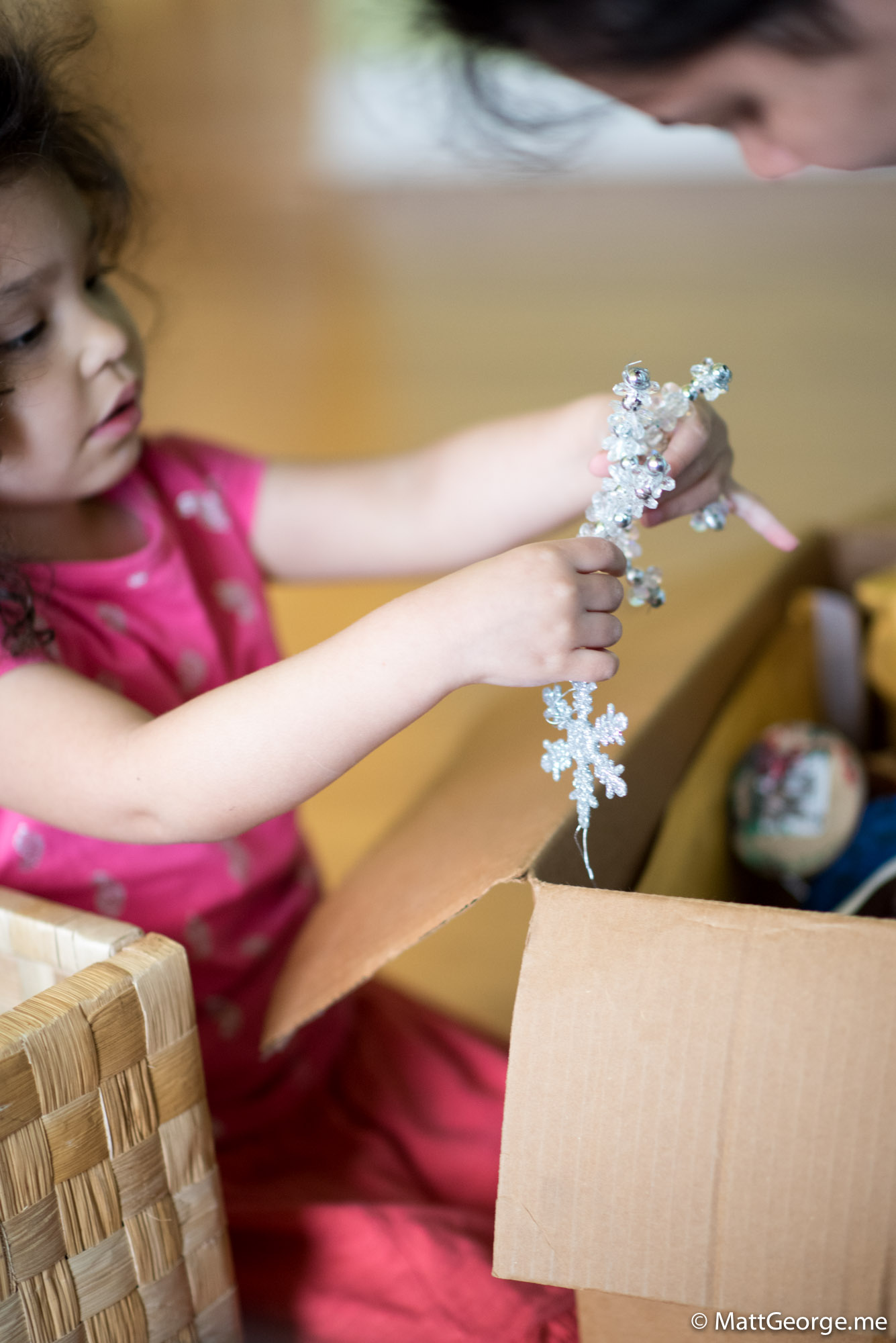 Bella Looking at the Christmas Silver Snowflake Ornament String