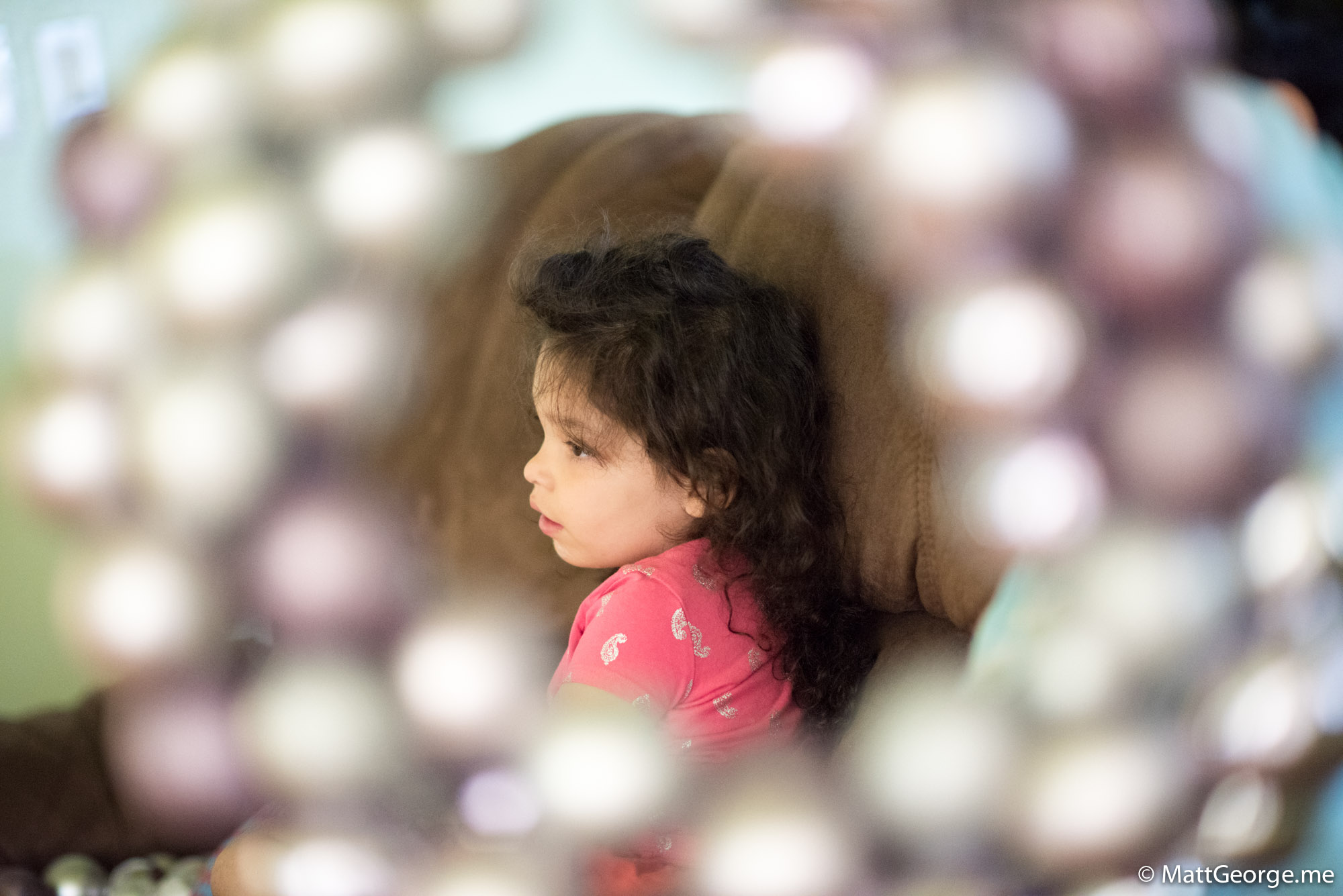 Bella Framed in the Middle of an Out of Focus Christmas Wreath