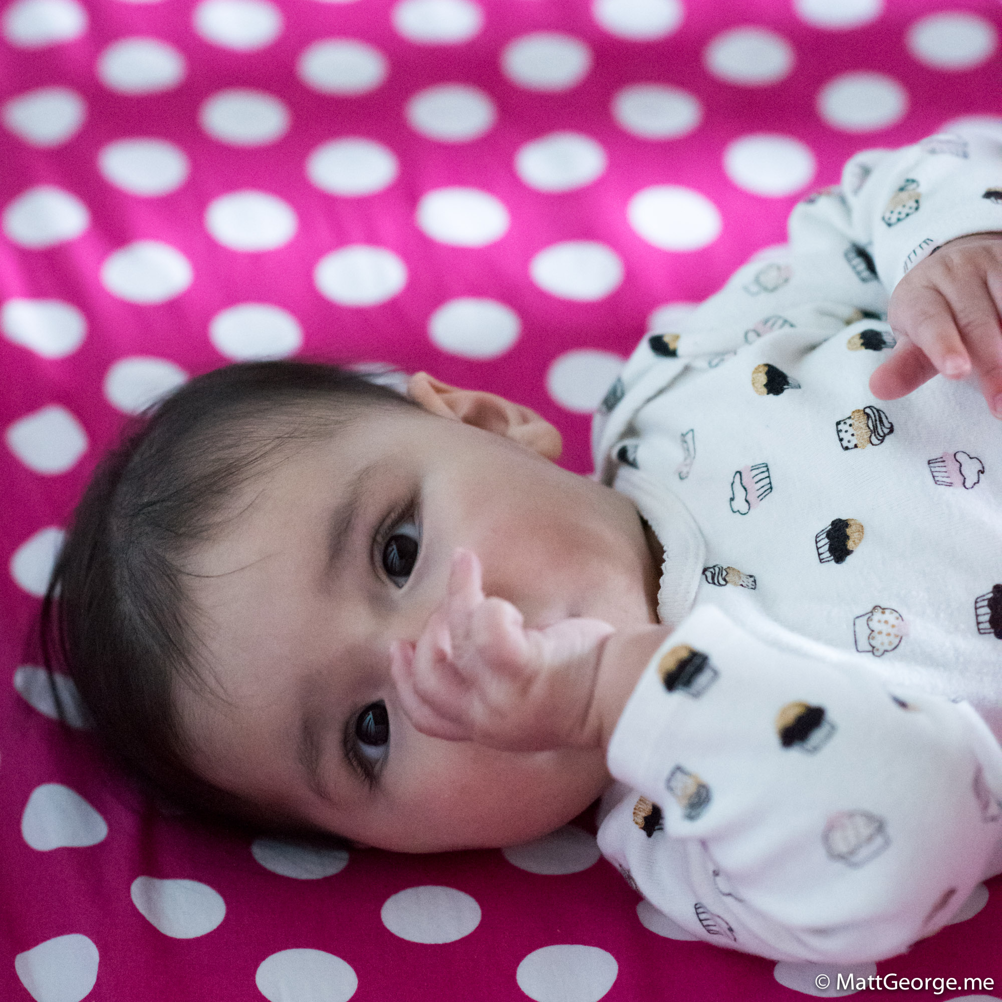 Baby Gianna Sucking Her Thumb Against a Background of Pink and White Polka Dots