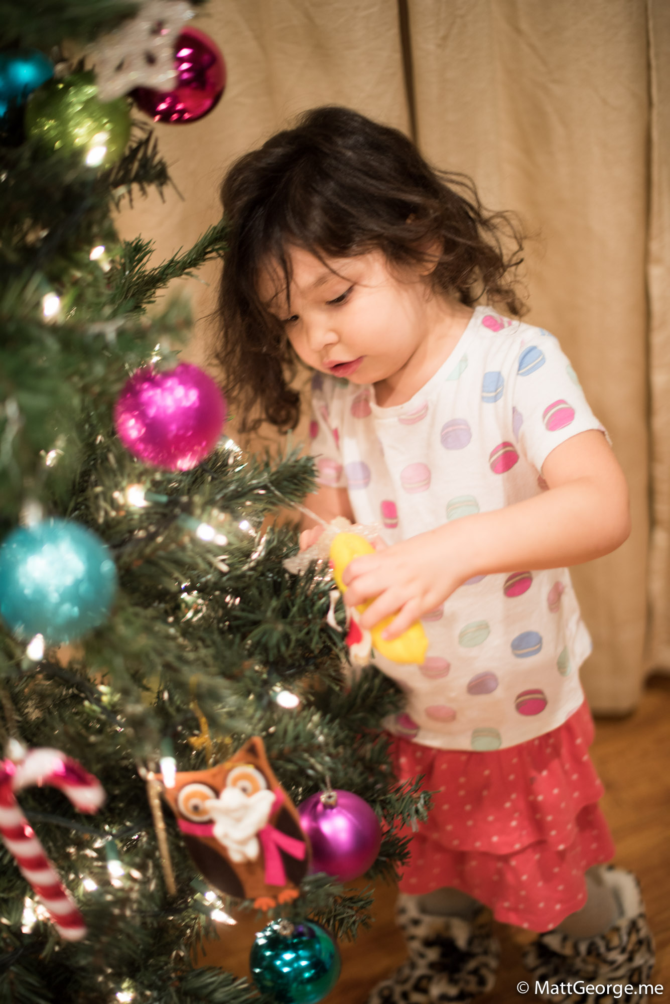 Bella with an Owl Christmas Ornament on Tree