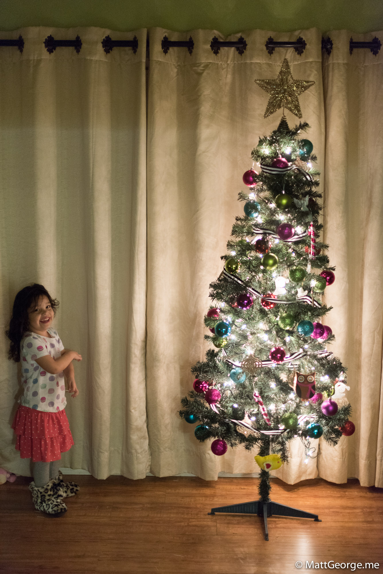 Bella Looking at Christmas Tree