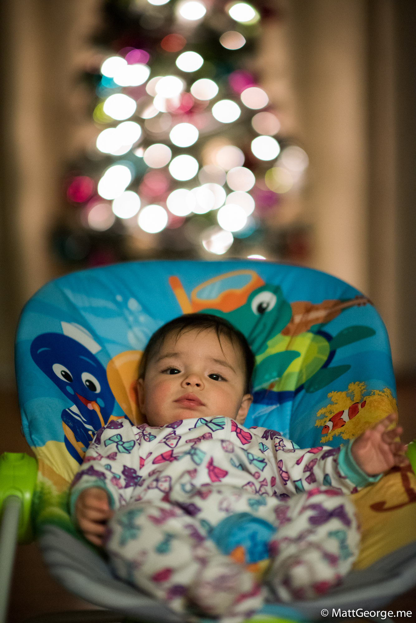 Baby Gianna on Bouncer Seat in Front of Christmas Tree with Bokeh