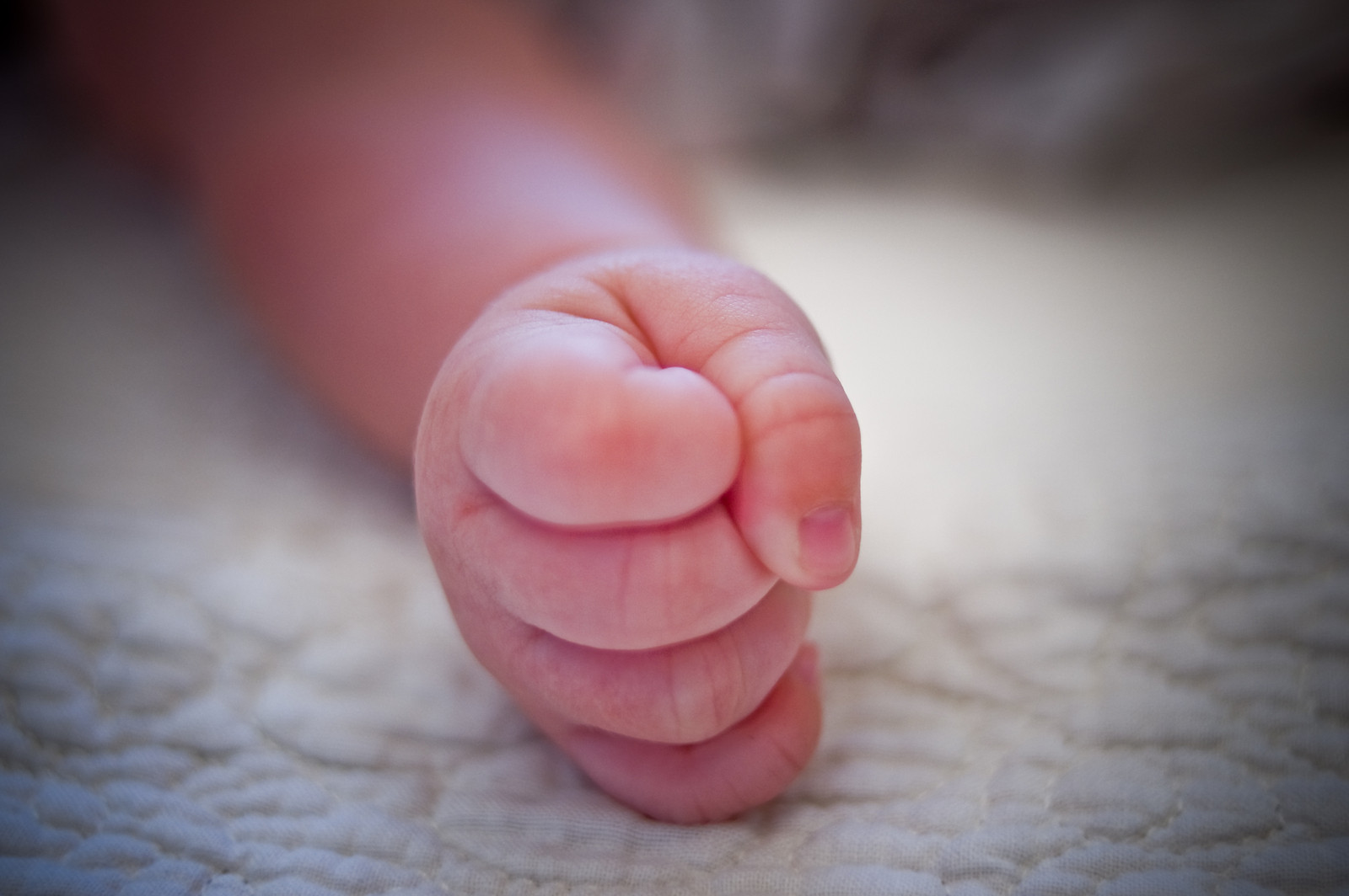 Baby Fist