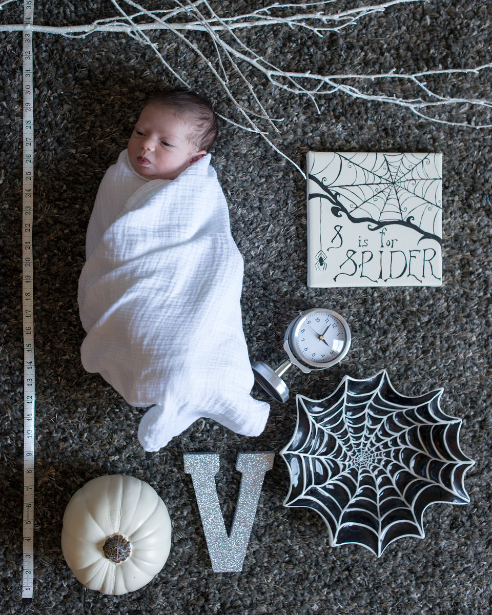 Baby Spider Theme Portrait